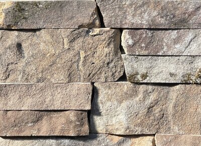 Image of Tennessee Fields